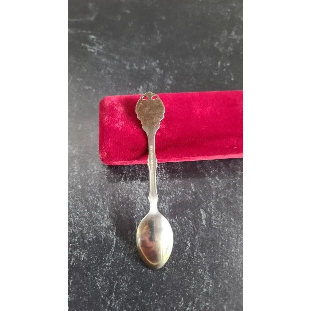 Aquarius Zodiac Sign Stainless Steel Spoon